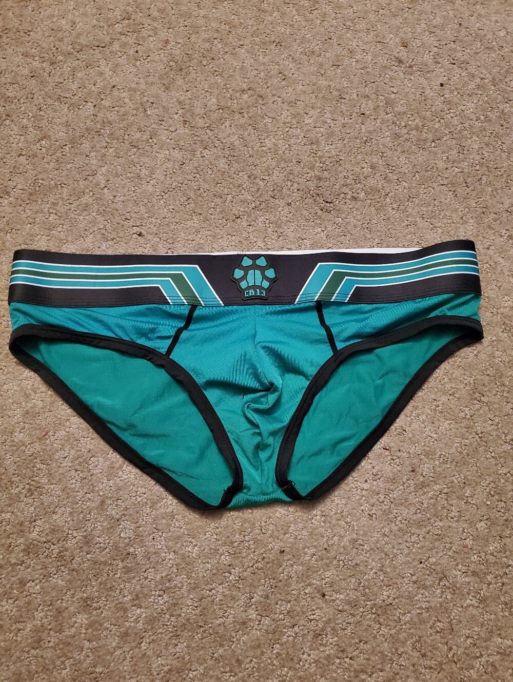Cellblock Mens Briefs